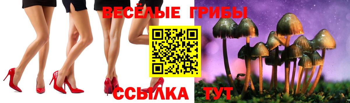 Псилоцибиновые грибы Cubensis  Вход с VPN  Псилоцибиновые грибы мухоморы  Ливны 